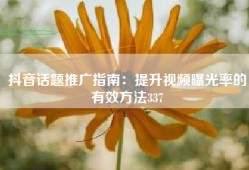 抖音话题推广指南：提升视频曝光率的有效方法337