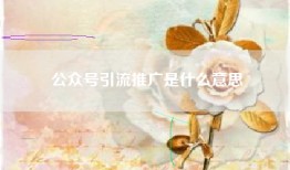 公众号引流推广是什么意思