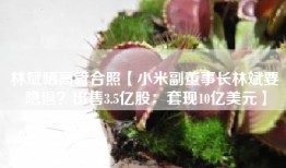 林斌晒高管合照【小米副董事长林斌要隐退？出售3.5亿股：套现10亿美元】