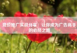 竞价推广实战分享：让你成为广告高手的必经之路