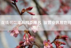 花钱可以提高网页排名  没营业执照也可推广
