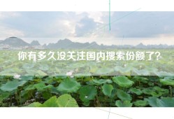 你有多久没关注国内搜索份额了？