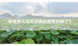 你有多久没关注国内搜索份额了？