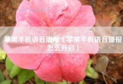 苹果手机语音播报（苹果手机语音播报怎么开启）