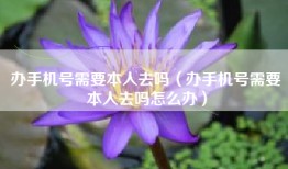 办手机号需要本人去吗（办手机号需要本人去吗怎么办）
