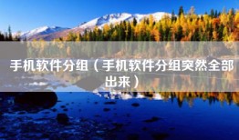 手机软件分组（手机软件分组突然全部出来）