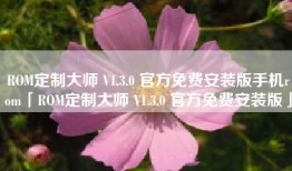 ROM定制大师 V1.3.0 官方免费安装版手机rom「ROM定制大师 V1.3.0 官方免费安装版」
