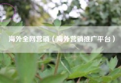 海外全网营销（海外营销推广平台）