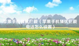 苹果手机骚扰拦截（苹果手机骚扰拦截电话怎么设置）