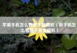 苹果手机怎么看是不是新机（新手机怎么看是不是全新机）