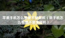 苹果手机怎么看是不是新机（新手机怎么看是不是全新机）