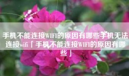 手机不能连接WIFI的原因有哪些手机无法连接wifi「手机不能连接WIFI的原因有哪些」