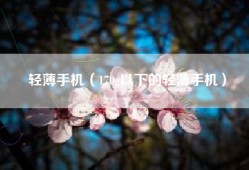 轻薄手机（170g以下的轻薄手机）