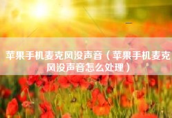 苹果手机麦克风没声音（苹果手机麦克风没声音怎么处理）