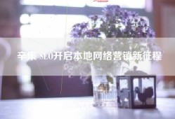 辛集 SEO开启本地网络营销新征程