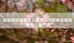 淘宝新店铺要怎么宣传（浅析淘宝新店要怎么推广）