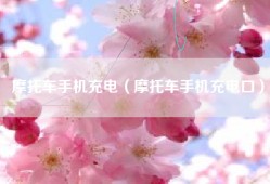 摩托车手机充电（摩托车手机充电口）