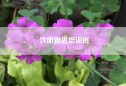 沈阳雅思培训班