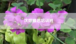 沈阳雅思培训班