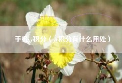 手机yy积分（yy积分有什么用处）