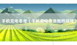 手机充电老是（手机充电老是断断续续）