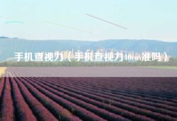 手机查视力（手机查视力40cm准吗）