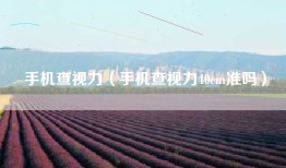 手机查视力（手机查视力40cm准吗）