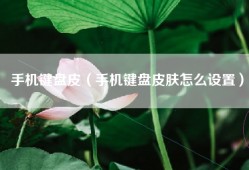 手机键盘皮（手机键盘皮肤怎么设置）