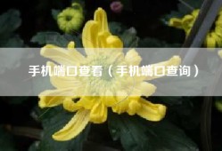 手机端口查看（手机端口查询）