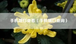 手机端口查看（手机端口查询）