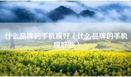 什么品牌的手机膜好（什么品牌的手机膜好些）