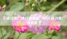 关键词推广排行榜最新_2023关键词推广排名前十