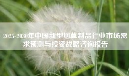 2025-2030年中国新型烟草制品行业市场需求预测与投资战略咨询报告
