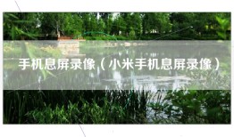 手机息屏录像（小米手机息屏录像）