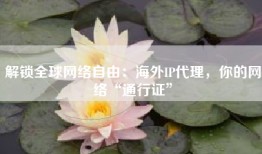 解锁全球网络自由：海外IP代理，你的网络“通行证”