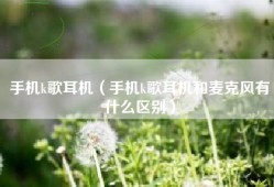 手机k歌耳机（手机k歌耳机和麦克风有什么区别）