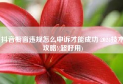 抖音橱窗违规怎么申诉才能成功 2024技术攻略!(超好用)