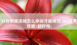 抖音橱窗违规怎么申诉才能成功 2024技术攻略!(超好用)