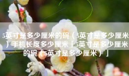 5英寸是多少厘米的碗（5英寸是多少厘米）手机长度多少厘米「5英寸是多少厘米的碗（5英寸是多少厘米）」