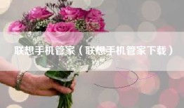 联想手机管家（联想手机管家下载）