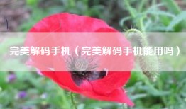 完美解码手机（完美解码手机能用吗）