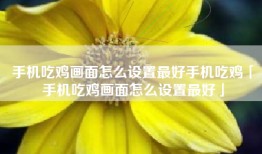 手机吃鸡画面怎么设置最好手机吃鸡「手机吃鸡画面怎么设置最好」