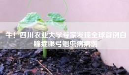 牛！四川农业大学专家发现全球首例白瞳症眼弓蛔虫病病例