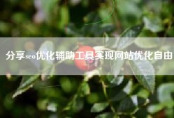 分享seo优化辅助工具实现网站优化自由