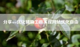 分享seo优化辅助工具实现网站优化自由