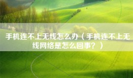 手机连不上无线怎么办（手机连不上无线网络是怎么回事？）