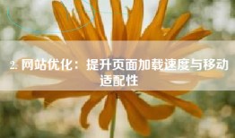2. 网站优化：提升页面加载速度与移动适配性