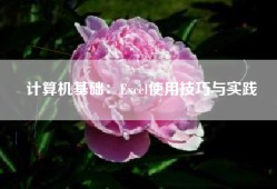 计算机基础：Excel使用技巧与实践