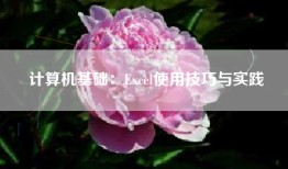 计算机基础：Excel使用技巧与实践