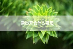 卖出开仓什么意思